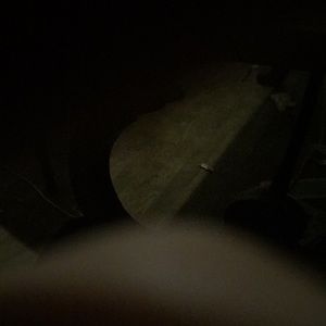 Meet your Posher, Ky